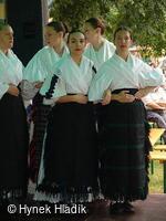 Libín - S, folklorní sdružení