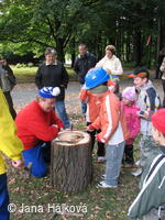 Procházka pohádkovým lesem