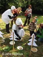 Procházka pohádkovým lesem